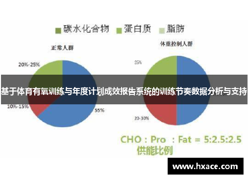 基于体育有氧训练与年度计划成效报告系统的训练节奏数据分析与支持