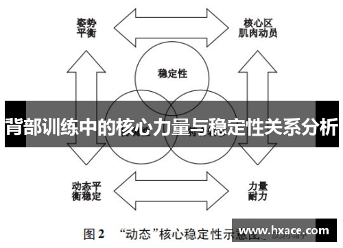 背部训练中的核心力量与稳定性关系分析
