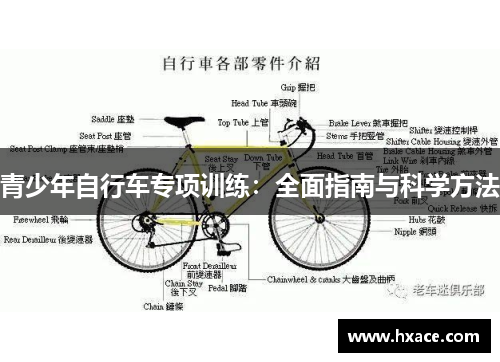 青少年自行车专项训练：全面指南与科学方法